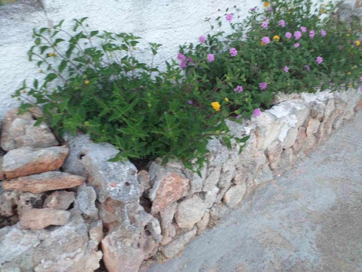 La Villa Di Luca Ostuni Eksteriør bilde